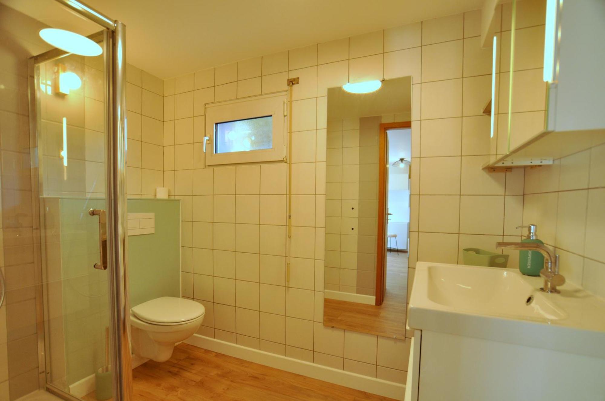 Aux Cigognes De Blotzheim Daire Dış mekan fotoğraf